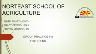 NORTEAST SCHOOL OF 
ACRICULTURE 
THIRD FOURT-MONTH 
PRACTICE ENGLISH lll 
BRAYAN MARROQUIN 
GROUP PRACTICE # 5 
ESTUDIENS 
 
