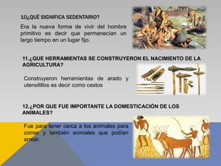 10¿QUÉ SIGNIFICA SEDENTARIO?
Era la nueva forma de vivir del hombre
primitivo es decir que permanecían un
largo tiempo en un lugar fijo.
11.¿QUE HERRAMIENTAS SE CONSTRUYERON EL NACIMIENTO DE LA
AGRICULTURA?
Construyeron herramientas de arado y
utensilillos es decir como cestos
12.¿POR QUE FUE IMPORTANTE LA DOMESTICACIÓN DE LOS
ANIMALES?
Fue para tener cerca a los animales para
comer y también animales que podían
arrear.
 