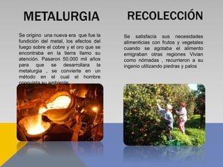 METALURGIA
Se origino una nueva era que fue la
fundición del metal, los efectos del
fuego sobre el cobre y el oro que se
encontraba en la tierra llamo su
atención. Pasaron 50.000 mil años
para que se desarrollara la
metalurgia , se convierte en un
método en el cual el hombre
conquista su ambiente
RECOLECCIÓN
Se satisfacía sus necesidades
alimenticias con frutos y vegetales
cuando se agotaba el alimento
emigraban otras regiones Vivian
como nómadas , recurrieron a su
ingenio utilizando piedras y palos
 