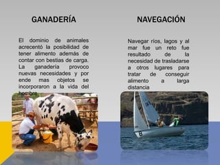 NAVEGACIÓNGANADERÍA
El dominio de animales
acrecentó la posibilidad de
tener alimento además de
contar con bestias de carga.
La ganadería provoco
nuevas necesidades y por
ende mas objetos se
incorporaron a la vida del
hombre
Navegar ríos, lagos y al
mar fue un reto fue
resultado de la
necesidad de trasladarse
a otros lugares para
tratar de conseguir
alimento a larga
distancia
 