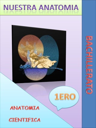 NUESTRA anatomia BACHILLERATO ANATOMIA       CIENTIFICA 1ERO 