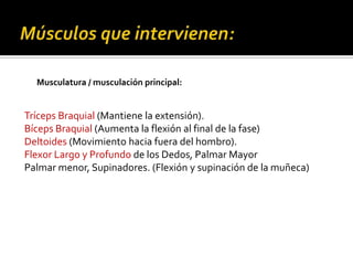 .

Musculatura / musculación principal:

Tríceps Braquial (Mantiene la extensión).
Bíceps Braquial (Aumenta la flexión al final de la fase)
Deltoides (Movimiento hacia fuera del hombro).
Flexor Largo y Profundo de los Dedos, Palmar Mayor
Palmar menor, Supinadores. (Flexión y supinación de la muñeca)

 