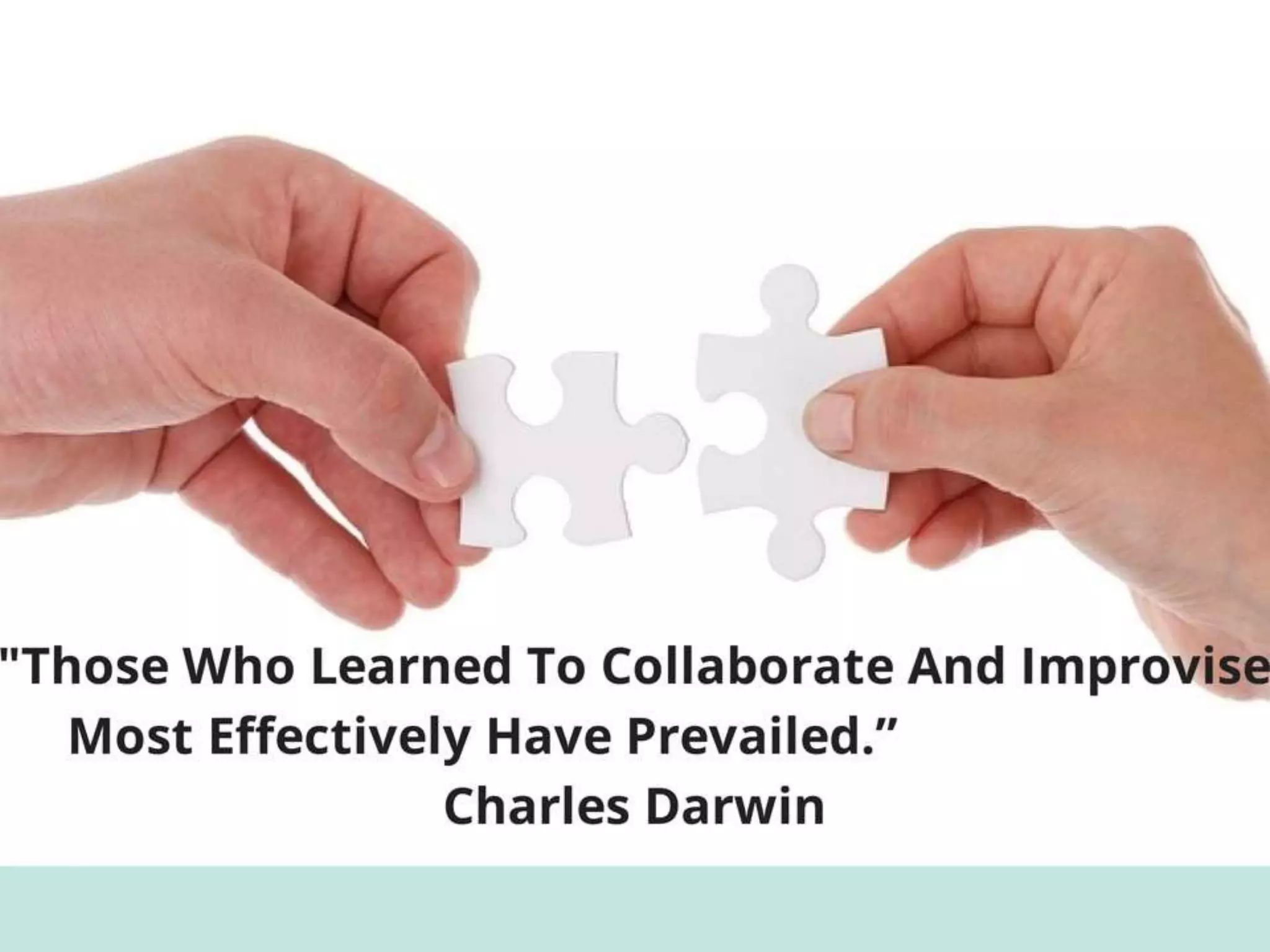 Braz+Cro project final.ppt