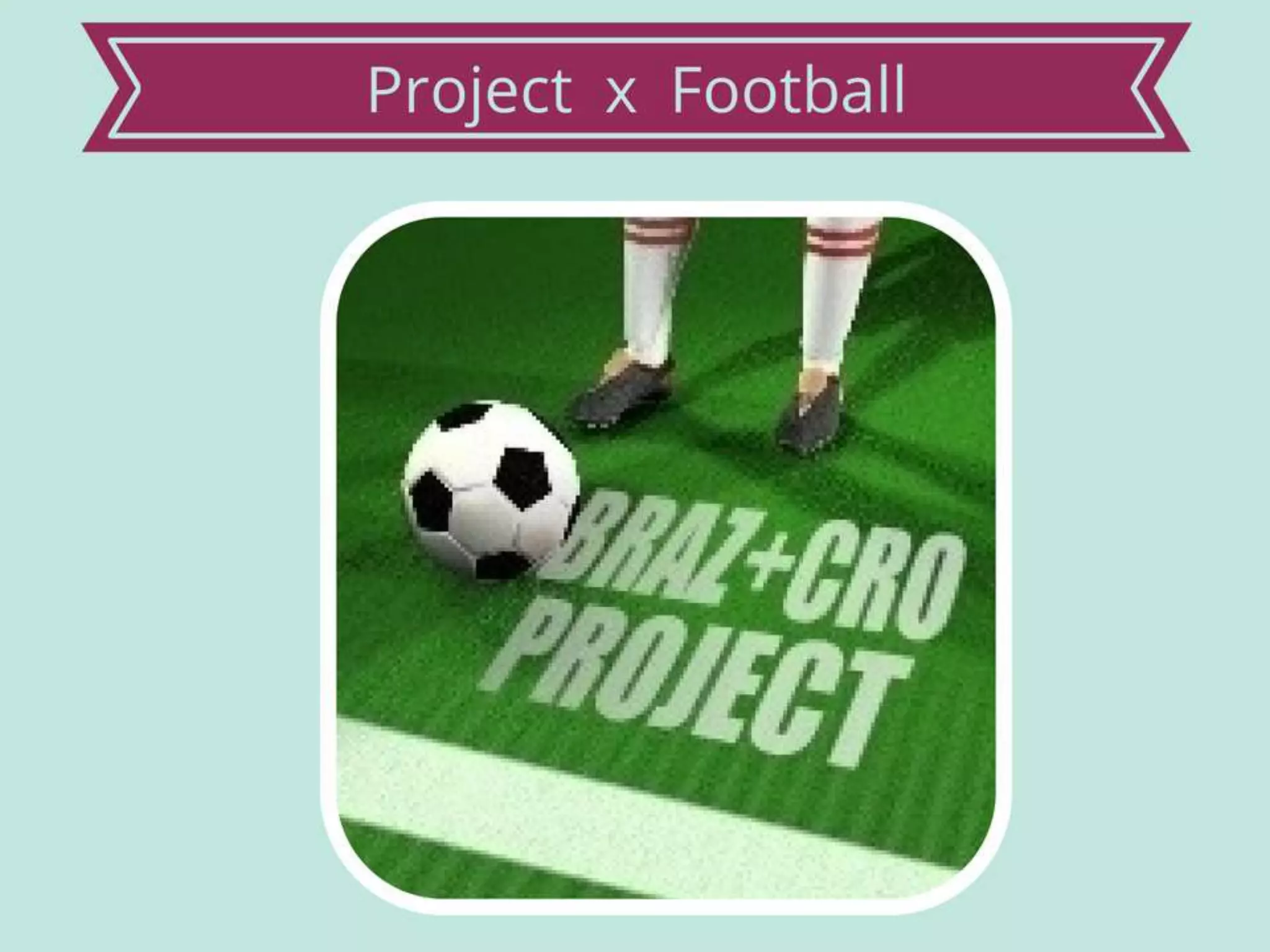 Braz+Cro project final.ppt