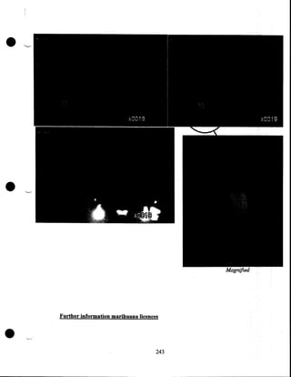 •

•

•

Further information marihuana licences

243

 