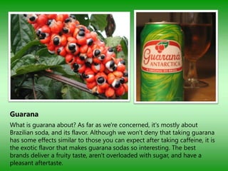 Guarana
What is guarana about? As far as we're concerned, it's mostly about
Brazilian soda, and its flavor. Although we won't deny that taking guarana
has some effects similar to those you can expect after taking caffeine, it is
the exotic flavor that makes guarana sodas so interesting. The best
brands deliver a fruity taste, aren't overloaded with sugar, and have a
pleasant aftertaste.
 