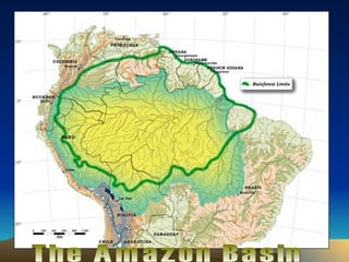 The Amazon Basin 