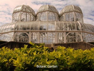Botanic Garden 