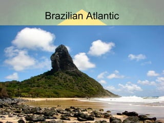 Brazilian Atlantic

 