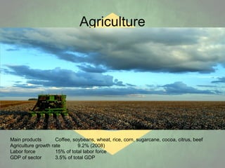 Agriculture

Main products
Coffee, soybeans, wheat, rice, corn, sugarcane, cocoa, citrus, beef
Agriculture growth rate
9.2% (2008)
Labor force
15% of total labor force
GDP of sector
3.5% of total GDP

 