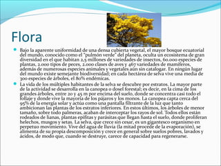 Flora
 Bajo la aparente uniformidad de una densa cubierta vegetal, el mayor bosque ecuatorial 
del mundo, conocido como el “pulmón verde” del planeta, oculta un ecosistema de gran 
diversidad en el que habitan 2,5 millones de variedades de insectos, 60.000 especies de 
plantas, 2.000 tipos de peces, 2.000 clases de aves y 467 variedades de mamíferos, 
además de numerosas especies animales y vegetales aún sin catalogar. En ningún lugar 
del mundo existe semejante biodiversidad; en cada hectárea de selva vive una media de 
300 especies de árboles, el 80% endémicas.
 La vida de los múltiples habitantes de la selva se descubre por estratos. La mayor parte 
de la actividad se desarrolla en la canopea o dosel forestal; es decir, en la cima de los 
grandes árboles, entre 20 y 45 m por encima del suelo, donde se concentra casi todo el 
follaje y donde vive la mayoría de los pájaros y los monos. La canopea capta cerca del 
95% de la energía solar y actúa como una pantalla filtrante de la luz que tanto 
ambicionan las plantas de los estratos inferiores. En estos últimos, los árboles de menor 
tamaño, sobre todo palmeras, acaban de interceptar los rayos de sol. Todos ellos están 
rodeados de lianas, plantas epífitas y parásitas que llegan hasta el suelo, donde proliferan 
helechos, musgos y setas. La selva, que crece sin cesar, es un gigantesco organismo en 
perpetuo movimiento. Vive del agua de lluvia (la mitad procede de la evaporación), se 
alimenta de su propia descomposición y crece en general sobre suelos pobres, lavados y 
ácidos, de modo que, cuando se destruye, carece de capacidad para regenerarse.
 