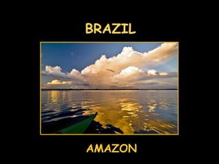 BRAZIL AMAZON 