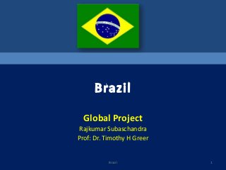 Global Project
Rajkumar Subaschandra
Prof: Dr. Timothy H Greer

Brazil

1

 