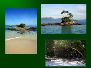 Slideshare.net/mireille30100 Web & picasa albumsPhotos Music:Balli di grupo samba Curitiba Hello Bruno !