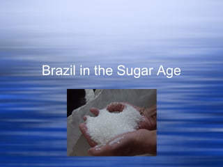 Brazil in the Sugar Age
 