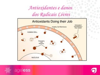 Antioxidantes e danos  dos Radicais Livres 