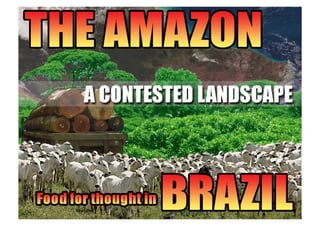 The Amazon Basin - a Contested Landscape