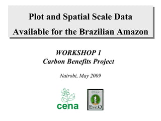 Plot and Spatial Scale  Data Available for the Brazilian Amazon WORKSHOP 1 Carbon Benefits Project Nairobi, May 2009 