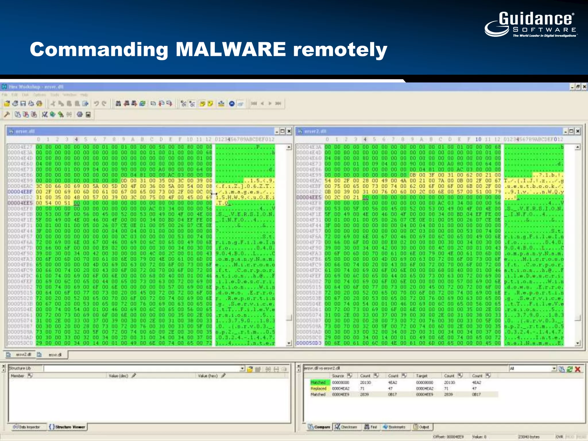 Can determine if a piece of Malware is polymorphic, if it can transfer files, etc.