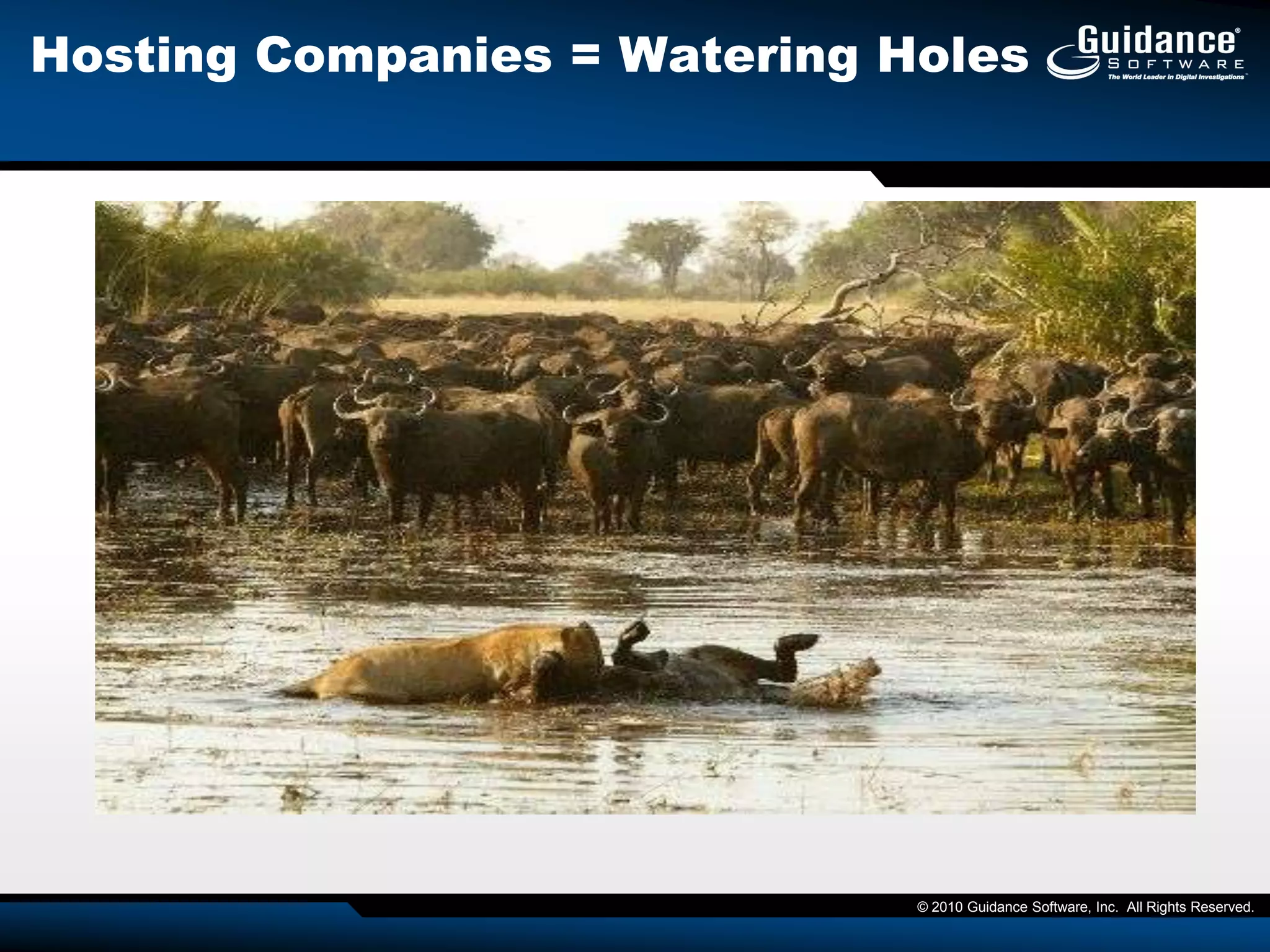 Ibrahim Samudra and Irhabi 007