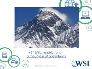 461 billion metric tons – 
a mountain of opportunity 
©2014 WSI. All rights reserved. 
 