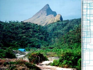 Geography
Area:
total: 8,514,877 sq km
country comparison to the
world: 5
land: 8,459,417 sq km
water: 55,460 sq km
highest point:
Pico da Neblina 2,994 m
 