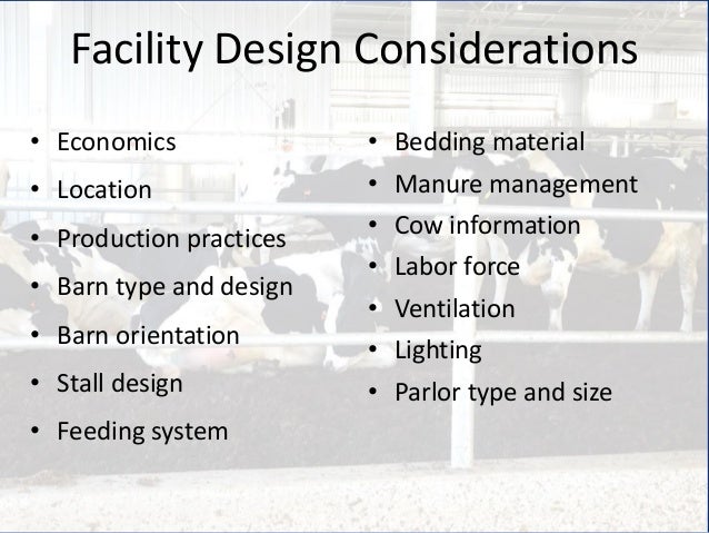 Freestall Barn Evaluation And Renovation