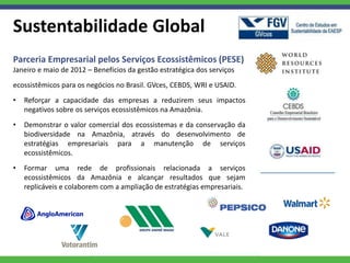 Sustentabilidade Global
Parceria Empresarial pelos Serviços Ecossistêmicos (PESE)
Janeiro e maio de 2012 – Benefícios da gestão estratégica dos serviços
ecossistêmicos para os negócios no Brasil. GVces, CEBDS, WRI e USAID.
•   Reforçar a capacidade das empresas a reduzirem seus impactos
    negativos sobre os serviços ecossistêmicos na Amazônia.
•   Demonstrar o valor comercial dos ecossistemas e da conservação da
    biodiversidade na Amazônia, através do desenvolvimento de
    estratégias empresariais para a manutenção de serviços
    ecossistêmicos.
•   Formar uma rede de profissionais relacionada a serviços
    ecossistêmicos da Amazônia e alcançar resultados que sejam
    replicáveis e colaborem com a ampliação de estratégias empresariais.




                                                                           12
 