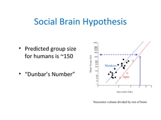 Social Brain Hypothesis 
• Predicted group size 
for humans is ~150 
• “Dunbar’s Number” 
Monkeys 
Apes 
Neocortex volume ...