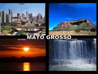   -   Brazília mobiltelefon piaca dinamikusan nő, havonta 650 ezer másodperccel növeli a világ telefonforgalmát . - A vezetékes telefonok számát tekintve az ország az 5. -  A 7 és 14 év közötti gyerekek  97,3%  szervezett iskolarendszerben tanul. MATO GROSSO 