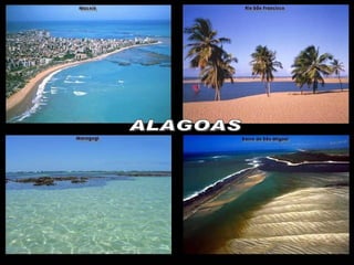 2.  Mi vagyunk a világ első országa, ahol a mamonából biodizelt állítanak elő. Ez megint nemzeti technológia. A   Northeast megváltása óta a  Petrobrás  ezt a rendszert dinamikusan fejleszti. ALAGOAS 