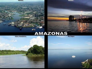 4. A Petrobrás  olajvállalat élen jár az olajkutatásban, a szárazföldi és tengeri kitermelésben. AMAZONAS 