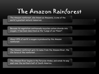 The Amazon Rainforest
The Amazon rainforest, also known as Amazonia, is one of the
world's greatest natural resources.

Because its vegetation continuously recycles carbon dioxide into
oxygen, it has been described as the "Lungs of our Planet".

About 20% of earth's oxygen is produced by the Amazon
rainforest.

The Amazon rainforest gets its name from the Amazon River, the
life force of the rainforest.

The Amazon River begins in the Peruvian Andes, and winds its way
east over the northern half of South America.

 