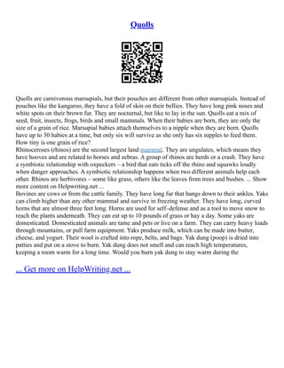 Quolls
Quolls are carnivorous marsupials, but their pouches are different from other marsupials. Instead of
pouches like the kangaroo, they have a fold of skin on their bellies. They have long pink noses and
white spots on their brown fur. They are nocturnal, but like to lay in the sun. Quolls eat a mix of
seed, fruit, insects, frogs, birds and small mammals. When their babies are born, they are only the
size of a grain of rice. Marsupial babies attach themselves to a nipple when they are born. Quolls
have up to 30 babies at a time, but only six will survive as she only has six nipples to feed them.
How tiny is one grain of rice?
Rhinoceroses (rhinos) are the second largest land mammal. They are ungulates, which means they
have hooves and are related to horses and zebras. A group of rhinos are herds or a crash. They have
a symbiotic relationship with oxpeckers – a bird that eats ticks off the rhino and squawks loudly
when danger approaches. A symbiotic relationship happens when two different animals help each
other. Rhinos are herbivores – some like grass, others like the leaves from trees and bushes. ... Show
more content on Helpwriting.net ...
Bovines are cows or from the cattle family. They have long fur that hangs down to their ankles. Yaks
can climb higher than any other mammal and survive in freezing weather. They have long, curved
horns that are almost three feet long. Horns are used for self–defense and as a tool to move snow to
reach the plants underneath. They can eat up to 10 pounds of grass or hay a day. Some yaks are
domesticated. Domesticated animals are tame and pets or live on a farm. They can carry heavy loads
through mountains, or pull farm equipment. Yaks produce milk, which can be made into butter,
cheese, and yogurt. Their wool is crafted into rope, belts, and bags. Yak dung (poop) is dried into
patties and put on a stove to burn. Yak dung does not smell and can reach high temperatures,
keeping a room warm for a long time. Would you burn yak dung to stay warm during the
... Get more on HelpWriting.net ...
 