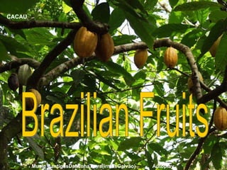CACAU Brazilian Fruits Music CantigasDaMinhaTerra(irmãsGalvão)  Autoplay 