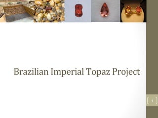 Brazilian	
  Imperial	
  Topaz	
  Project	
  	
  

                                                    1	
  
 