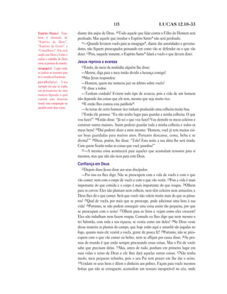 115 LUCAS 12.10—33
diante dos anjos de Deus. 10Todo aquele que falar contra o Filho do Homem será
perdoado. Mas aquele que insultar o Espírito Santo* não será perdoado.
11—Quando levarem vocês para as sinagogas*, diante das autoridades e governa-
dores, não fiquem preocupados pensando em como vão se defender ou o que vão
dizer. 12Pois, naquele instante, o Espírito Santo* falará a vocês o que devem dizer.
Jesus reprova a avareza
13Então, do meio da multidão alguém lhe disse:
—Mestre, diga para o meu irmão dividir a herança comigo!
14Mas Jesus respondeu:
—Homem, quem me nomeou juiz ou árbitro sobre vocês?
15E disse a todos:
—Tenham cuidado! Evitem todo tipo de avareza, pois a vida de um homem
não depende das coisas que ele tem, mesmo que seja muito rico.
16E então lhes contou esta parábola*:
—As terras de certo homem rico tinham produzido uma colheita muito boa.
17Então ele pensou: “Eu não tenho lugar para guardar a minha colheita. O que
vou fazer?” 18Então disse: “Já sei o que vou fazer! Vou demolir os meus celeiros e
construir outros maiores. Assim poderei guardar toda a minha colheita e todos os
meus bens! 19Daí poderei dizer a mim mesmo: ‘Homem, você já tem muitas coi-
sas boas guardadas para muitos anos. Portanto descanse, coma, beba e se
divirta!’” 20Deus, porém, lhe disse: “Tolo! Esta noite a sua alma lhe será tirada.
Com quem ficarão todas as coisas que você guardou?”
21—A mesma coisa acontecerá para aqueles que acumulam tesouros para si
mesmos, mas que não são ricos para com Deus.
Conﬁança em Deus
22Depois disso Jesus disse aos seus discípulos:
—Por isso eu lhes digo: Não se preocupem com a vida de vocês e com o que
vão comer; nem com o corpo de vocês e com o que vão vestir. 23Pois a vida é mais
importante do que comida e o corpo é mais importante do que roupas. 24Olhem
para os corvos: Eles não plantam nem colhem, nem têm celeiros nem armazéns; e
Deus lhes dá o que comer. Será que vocês não valem muito mais do que os pássa-
ros? 25Qual de vocês, por mais que se preocupe, pode adicionar uma hora à sua
vida? 26Portanto, se não podem conseguir uma coisa assim tão pequena, por que
se preocupam com o resto? 27Olhem para os lírios e vejam como eles crescem!
Eles não trabalham nem fazem roupas. Contudo eu lhes digo que nem mesmo o
rei Salomão, com toda a sua riqueza, se vestiu como um deles! 28Se Deus veste
dessa maneira as plantas do campo, que hoje estão aqui e amanhã são jogadas no
fogo, quanto mais ele vestirá a vocês, gente de pouca fé! 29Portanto, não se preo-
cupem com o que vão comer ou beber, nem se aflijam por causa disso. 30As pes-
soas do mundo é que estão sempre procurando essas coisas. Mas o Pai de vocês
sabe que precisam delas. 31Mas, antes de tudo, ponham em primeiro lugar em
suas vidas o reino de Deus e ele lhes dará aquelas outras coisas. 32Não tenha
medo, meu pequeno rebanho, pois o seu Pai tem prazer em lhe dar o reino.
33Vendam os seus bens e dêem o dinheiro aos pobres. Façam para vocês mesmos
bolsas que não se estraguem; acumulem um tesouro inesgotável no céu, onde
Espírito (Santo) Tam-
bém é chamado de
“Espírito de Deus”,
“Espírito de Cristo” e
“Conselheiro”. Ele está
unido com Deus e Cristo e
realiza o trabalho de Deus
entre as pessoas do mundo.
sinagoga(s) Lugar onde
os judeus se reuniam para
ler e estudar as Escrituras.
p a r á b o l a ( s ) Uma
narração em que se expõe
um pensamento de uma
maneira figurada, o qual
contém uma doutrina
moral; uma comparação ou
paralelo entre duas coisas.
 
