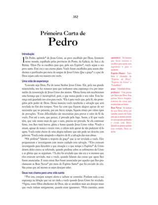 Brazilian portuguese new testament