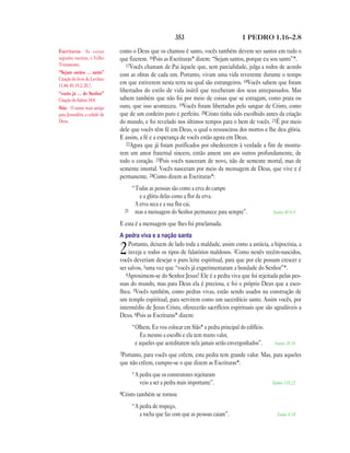 Brazilian portuguese new testament