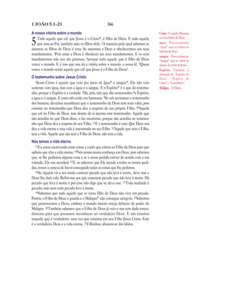 Brazilian portuguese new testament