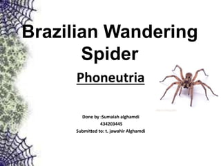 Brazilian Wandering
Spider
Phoneutria
Done by :Sumaiah alghamdi
434203445
Submitted to: t. jawahir Alghamdi
 