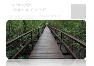 Inspiração 
“Mangue é Vida” 
MAMG 
Passarela dos Caranguejos no manguezal da Ilha de 
Comandatuba, na Bahia 
http://viagem.uol.com.br/ultnot/2010/04/30/passeio-pela-passarela-dos-caranguejos-em-comandatuba-promove-uma-imersao-no-universo- 
do-mangue.jhtm 
 