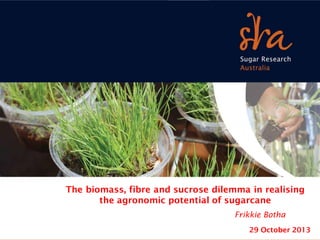 Enter title here for Powerpoint
July 1 2013

The biomass, fibre and sucrose dilemma in realising
the agronomic potential of sugarcane

Extra details Botha
here
Frikkie

29 October 2013

 
