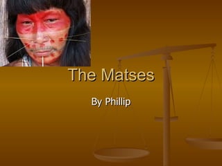 The Matses By Phillip 