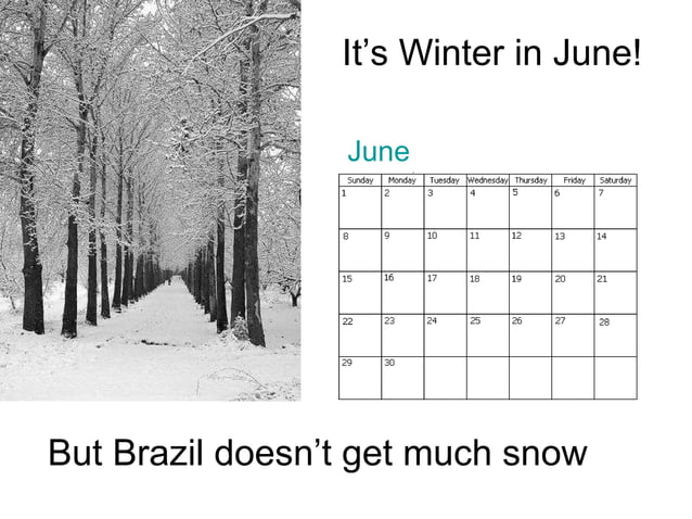 Brazil Ppt PPT