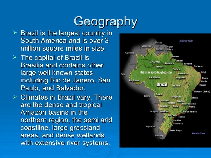 a history of brazil the largest country in south america Brazil is the largest country in south america the name brazil comes from a tree named brazilwood it is called brasil in portuguese, the official. a history of brazil the largest country in south america Brazil is the largest country in south america the name brazil comes from a tree named brazilwood it is called brasil in portuguese, the official.