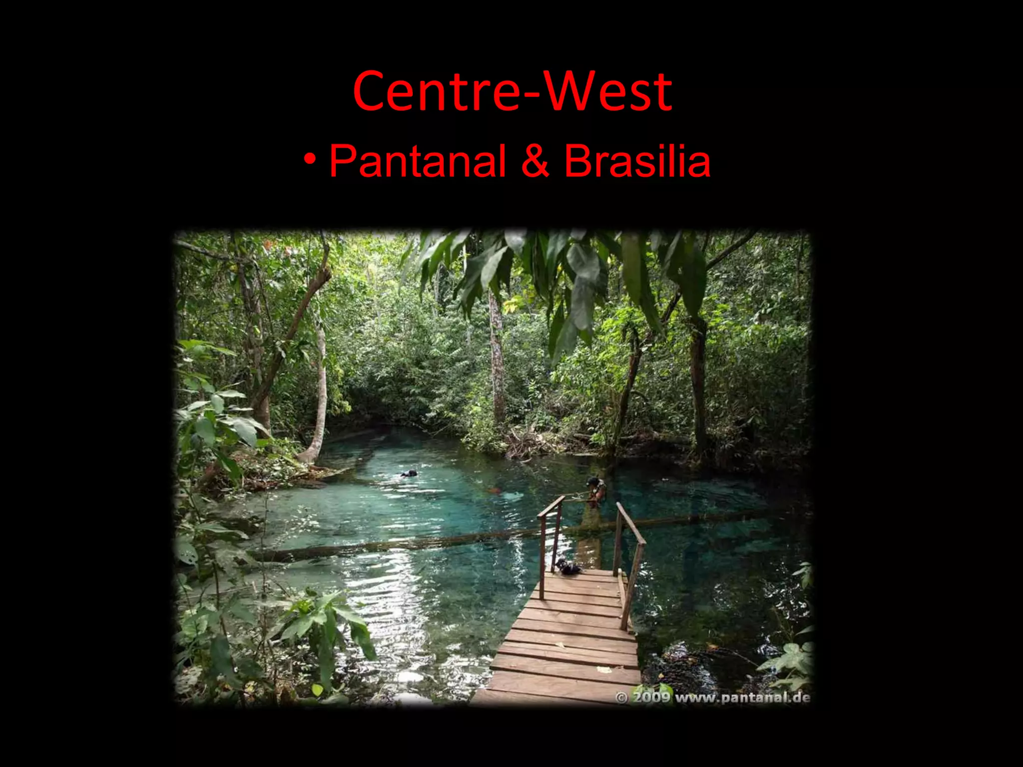 Centre-West
• Pantanal & Brasilia
 