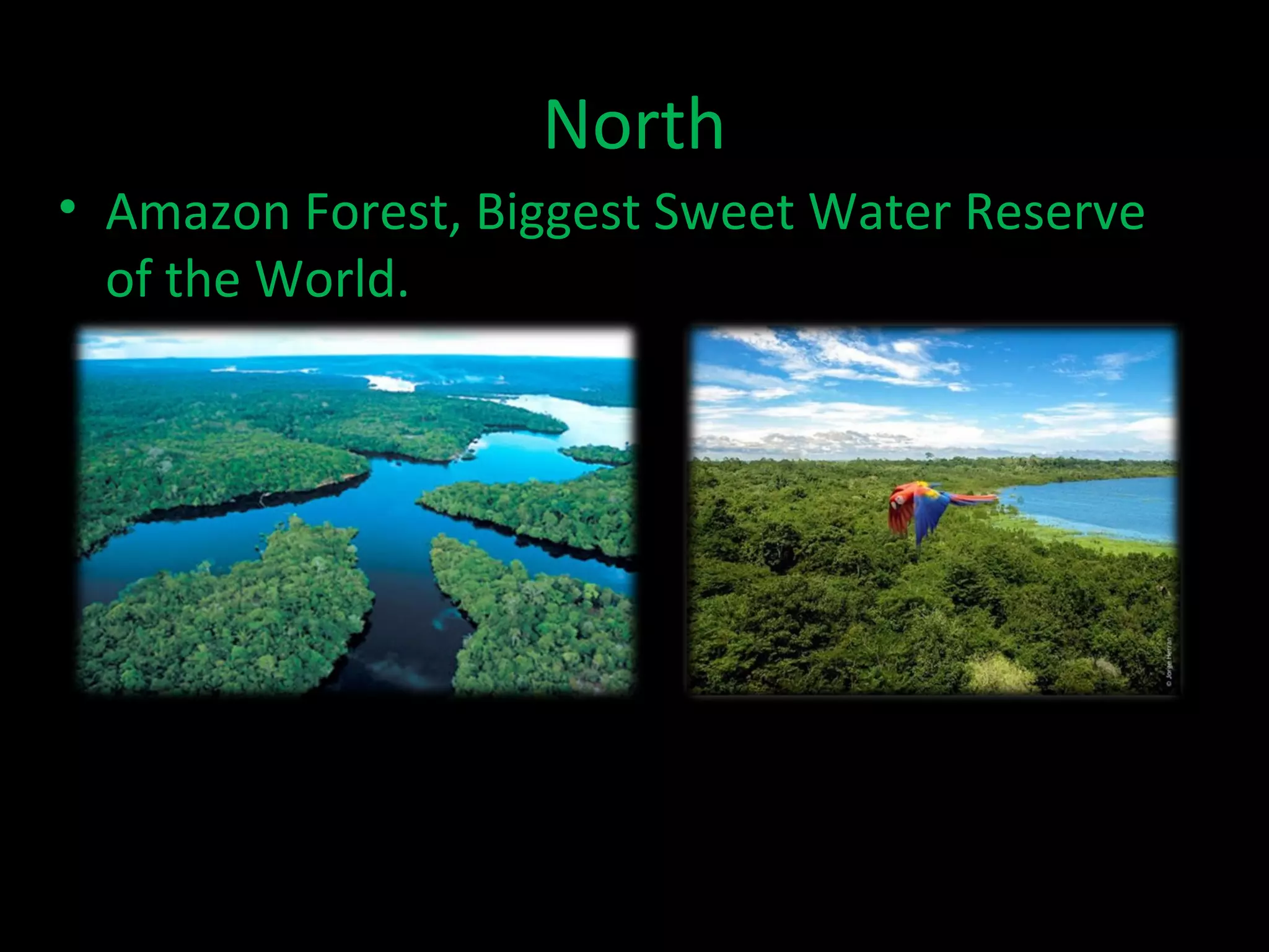 North
• Amazon Forest, Biggest Sweet Water Reserve
  of the World.
 