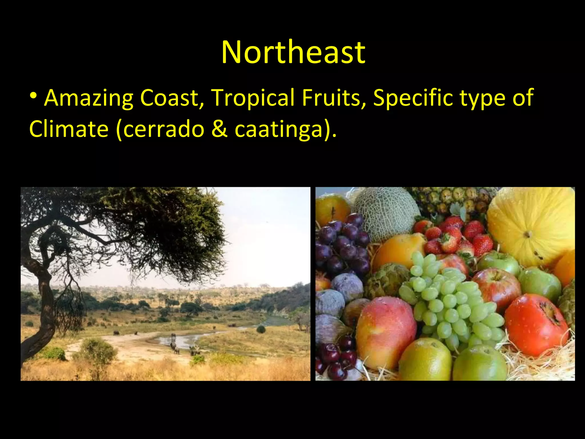 Northeast
• Amazing Coast, Tropical Fruits, Specific type of
Climate (cerrado & caatinga).
 