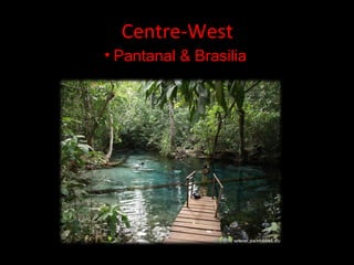 Centre-West
• Pantanal & Brasilia
 